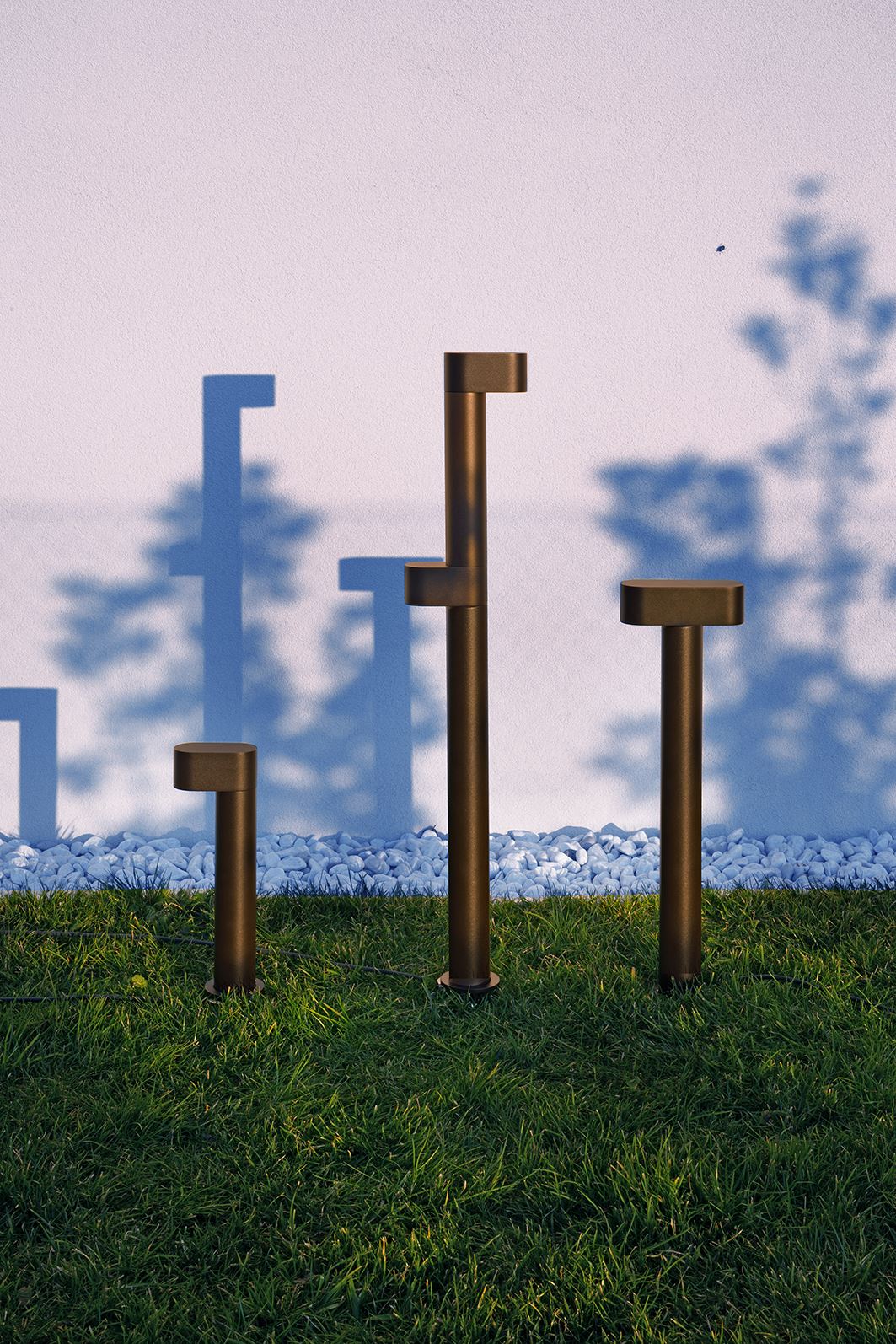 TED
