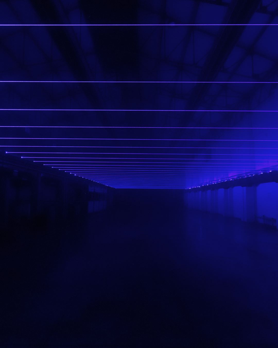 TRANSITIONS