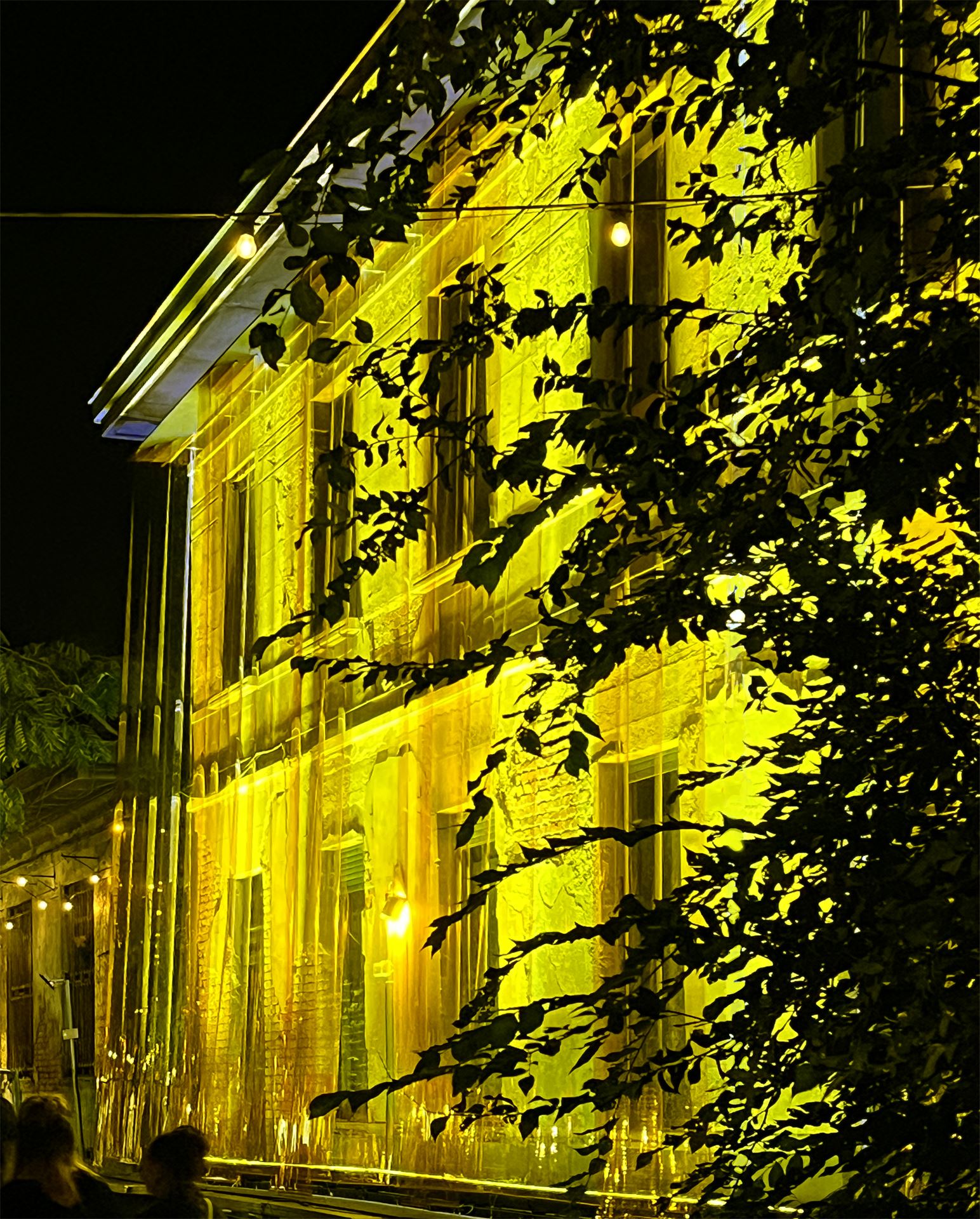 YELLOW SHADOWS