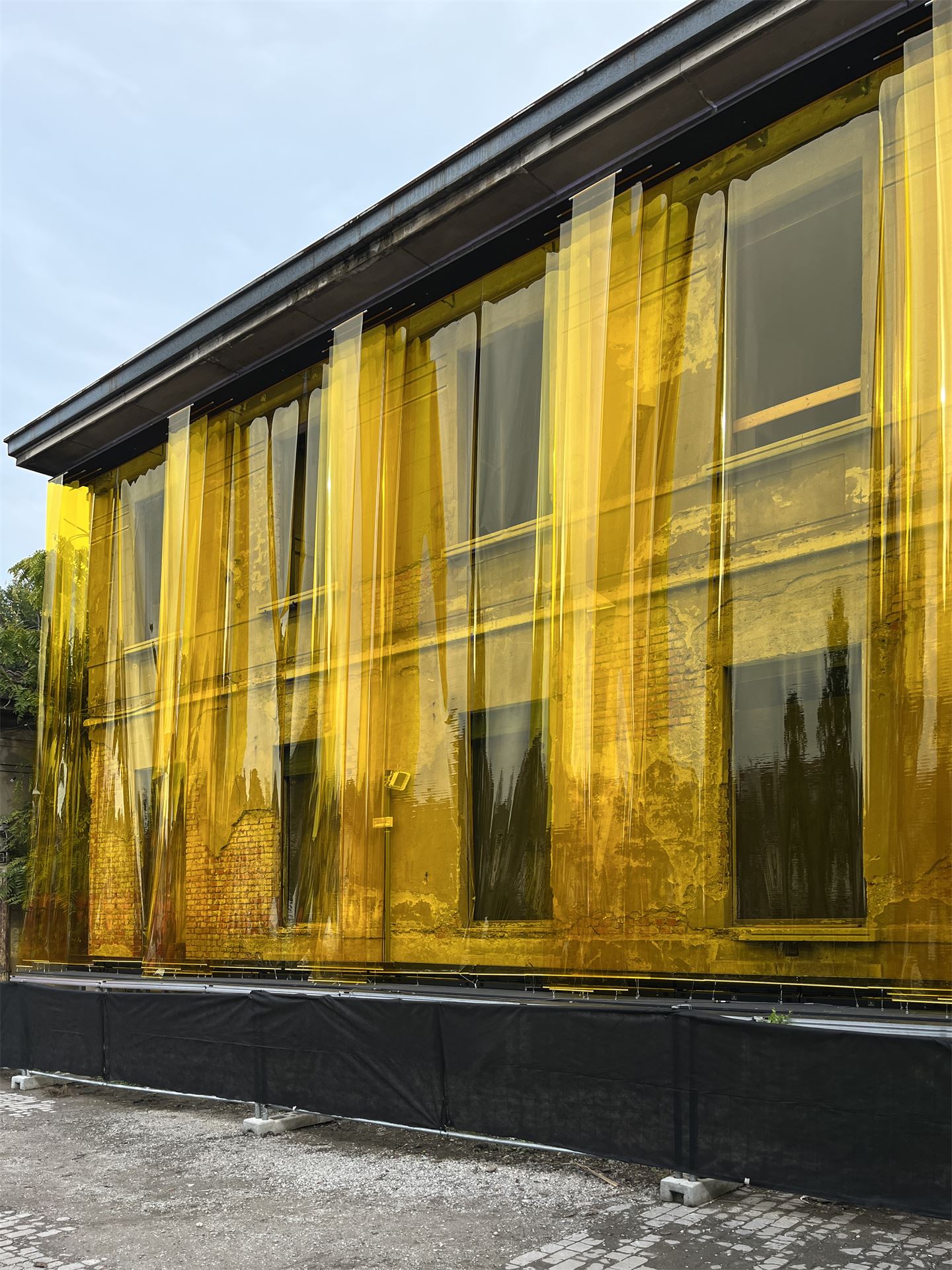 YELLOW SHADOWS