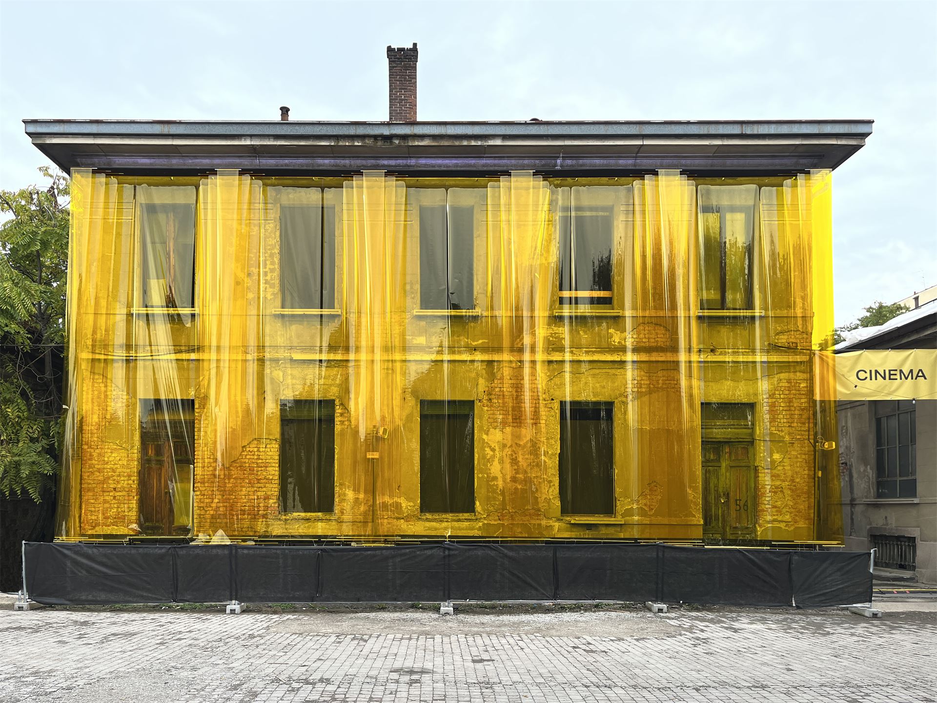 YELLOW SHADOWS